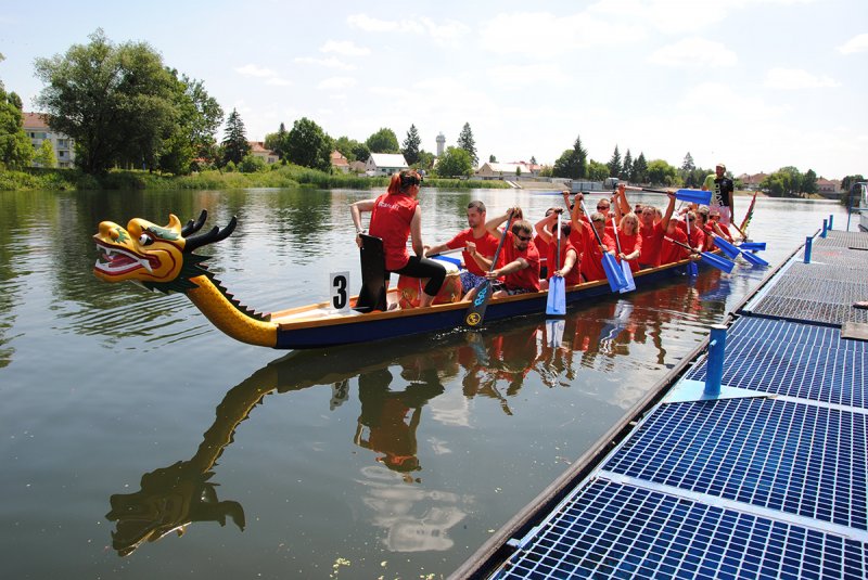 dsc_0257_20170627_1654341818