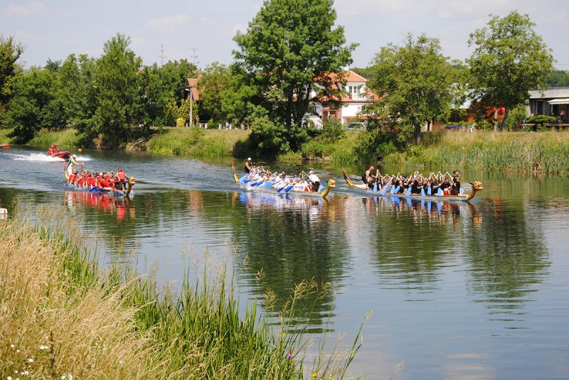 dsc_0276_20170627_1135704690