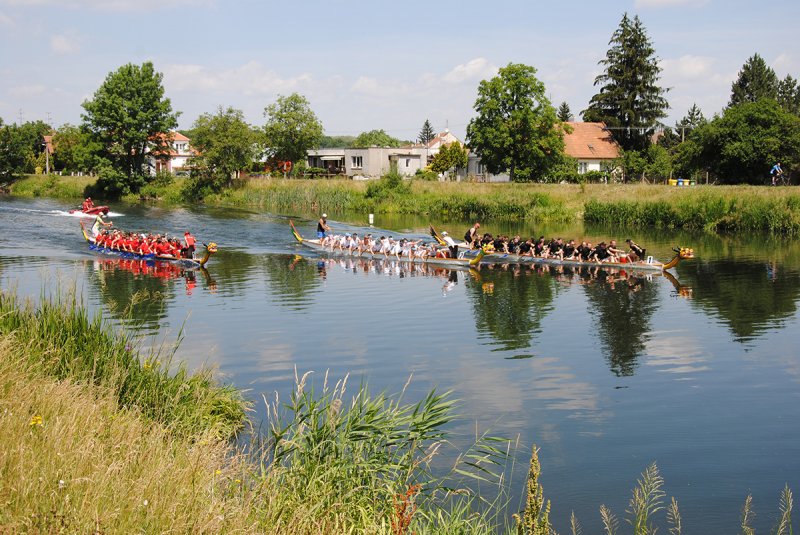 dsc_0280_20170627_1066613871