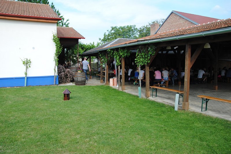 dsc_0201_20160530_2082459566